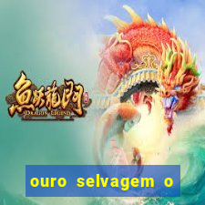 ouro selvagem o que aconteceu na vida